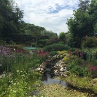 Nieuwe beplanting voor een al bestaande mooie tuin in Twisk, meer bloei en kleur en bijen en vlinders (1)